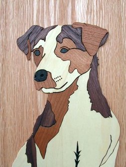 Jack Russell, afm.: 18*23 cm