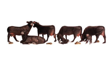 Black Angus koeien en kalfjes; Woodland scenics; Modelspoor; Modelbouw; figuren H0; H0 figuren; modelbouw figuren kopen; miniat