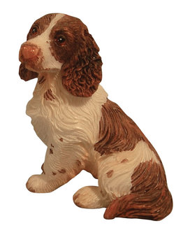 zittende Engelse Springer Spaniel