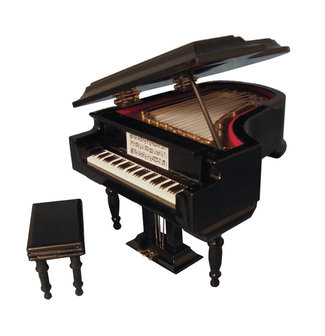 Zwart grote vleugel type Baby Grand