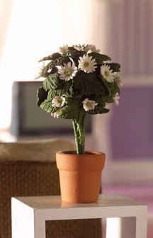 Margrieten in pot; bloemen 1op12; planten 1op12;  poppenhuis planten; miniatuur bloemen;  poppenhuis bloemen;  miniatuur plante