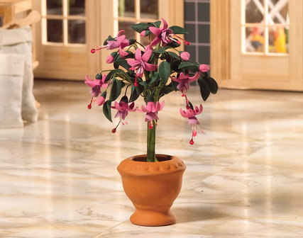 Fuchsia in pot;bloemen 1op12; planten 1op12;  poppenhuis planten; miniatuur bloemen;  poppenhuis bloemen;  miniatuur planten;  