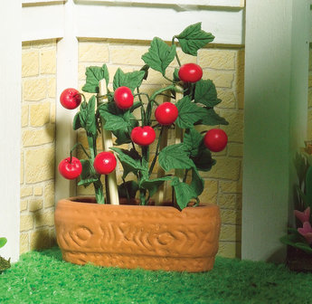 Tomatenplant in pot; bloemen 1op12; planten 1op12;  poppenhuis planten; miniatuur bloemen;  poppenhuis bloemen;  miniatuur plan