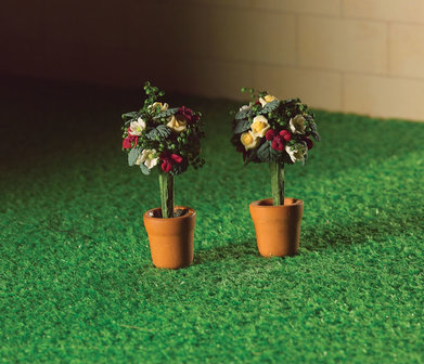 Rozen in pot; bloemen 1op12; planten 1op12;  poppenhuis planten; miniatuur bloemen;  poppenhuis bloemen;  miniatuur planten;  p