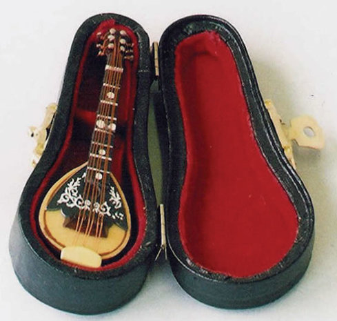 Mandoline, incl. zwarte koffer