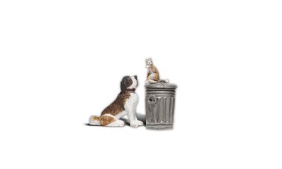 Hond en kat+ vuilnisbak