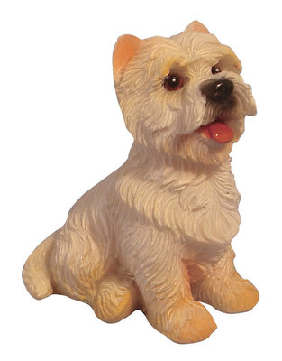 zittende Westie