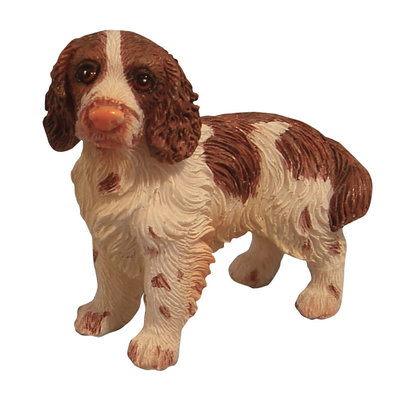 staande Engelse Springer Spaniel