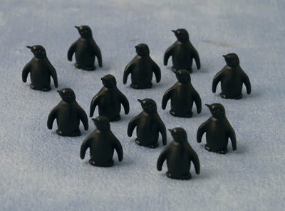 12 pinguins