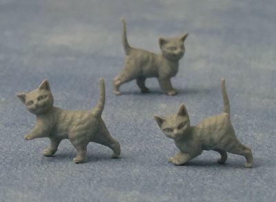 12 grijze kittens