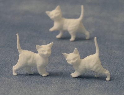 12 witte kittens