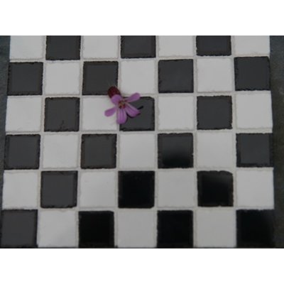 Echte keramische tegels, 10*10*2 mm, zwart/wit