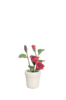 Rode rozen plant