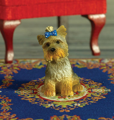 Boo de Yorkshire terrier